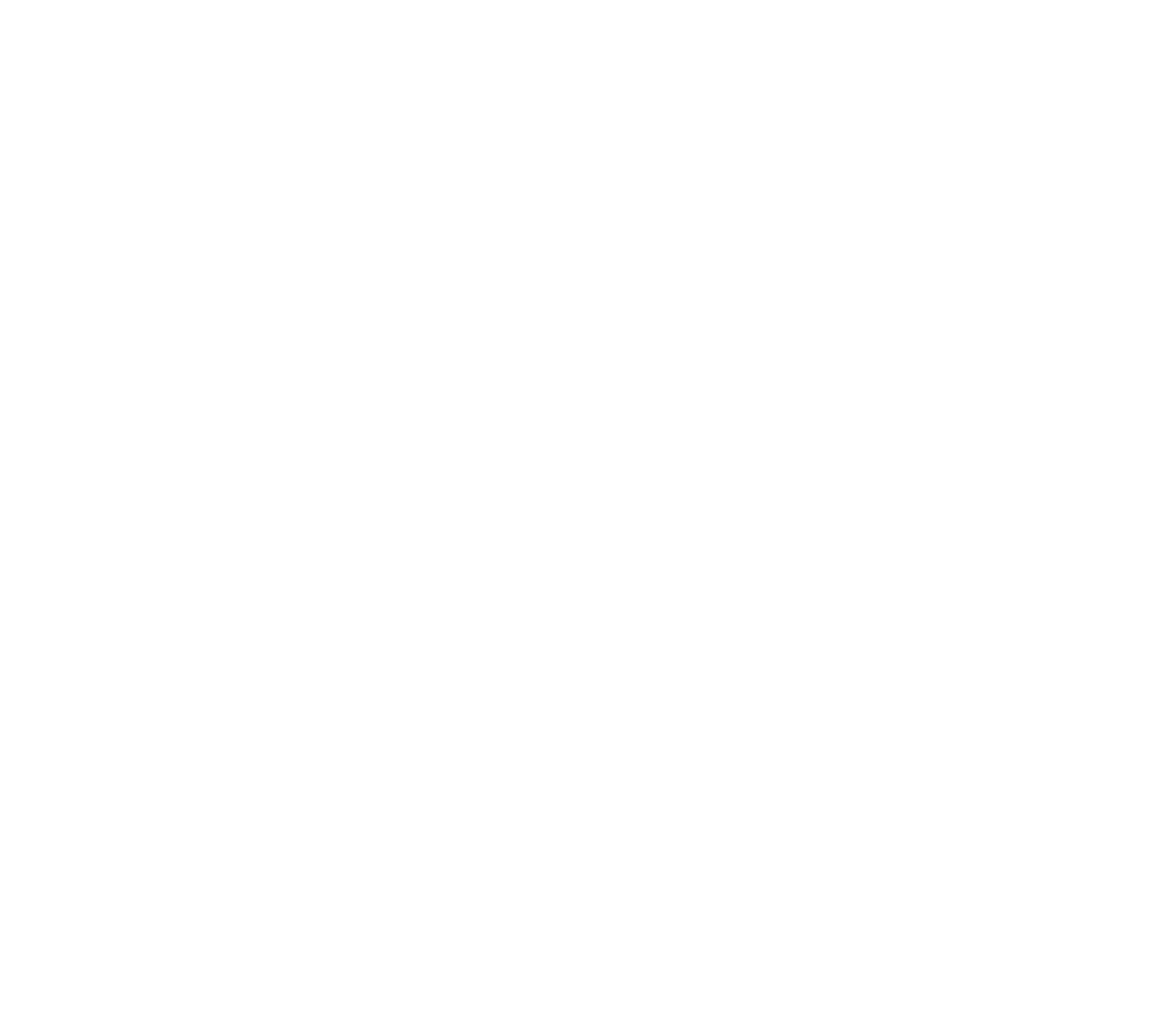 netsuite alliance partner